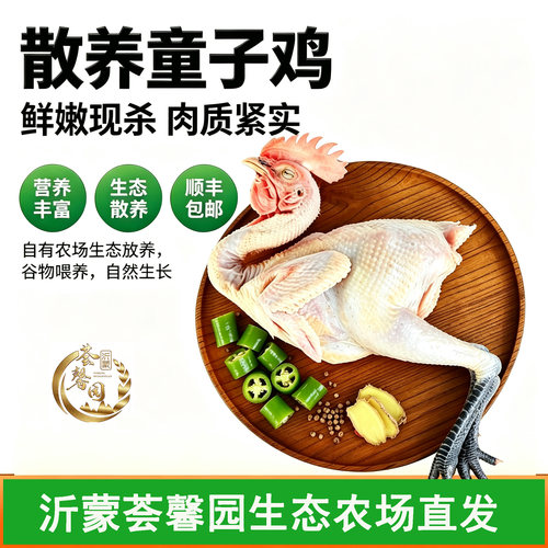 潮流精品品质保证正宗散养走地土鸡整只现杀