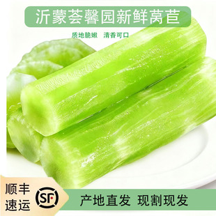 青皮绿心莴笋新鲜时令蔬菜生态种植青笋现摘莴苣笋