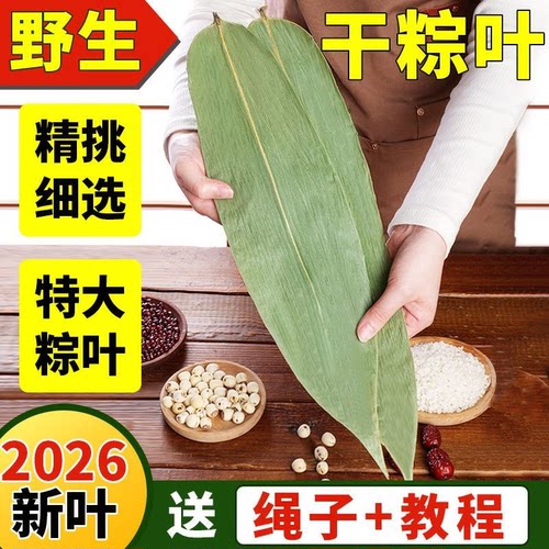 新鲜干粽叶端午节包粽子天然家用