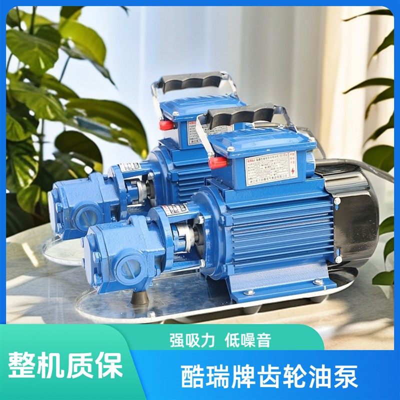 牌手提式齿轮油泵 WCB电动柴油齿轮泵 WCB-30 便携式自吸油泵