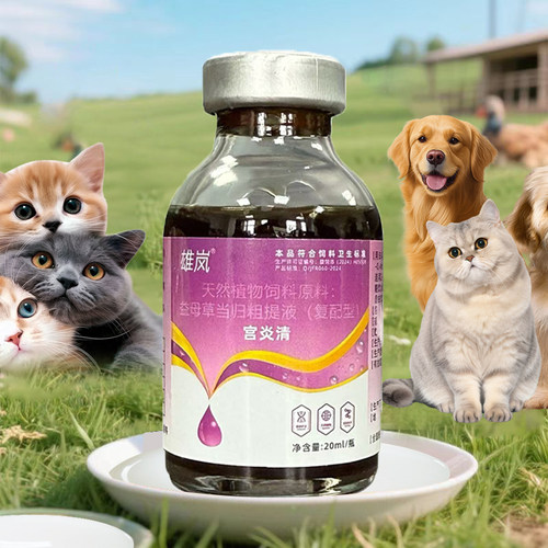 雄岚宫炎清四季可用宠物产后恢复
