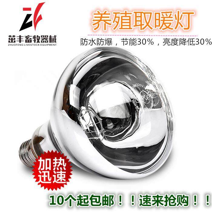 养殖专用保温灯泡防水防爆红外线仔猪灯泡取暖灯泡烤灯兽用器械