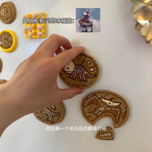 女朋友新买的冰箱贴惊呆我了