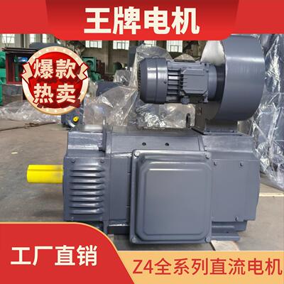 厂家直销 王牌电机Z4直流电机 Z4-132-1 DC motor 18.5kw 3000rpm