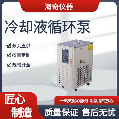 新低温冷却液循环泵实验室设备智能控温制冷机装置 DLSB型化工科