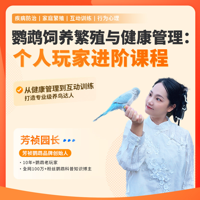 芳祯鹦鹉系列课程个人玩家进阶版