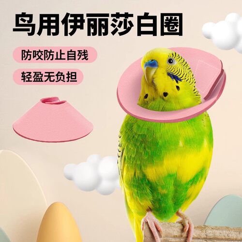 韩国宠物用伊丽莎白圈鹦鹉伊丽莎白圈虎皮牡丹玄风和尚防拔毛防咬