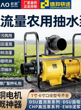 DSU大流量自吸泵220V抽水泵农用灌溉泵380V高扬程污水泥浆泵