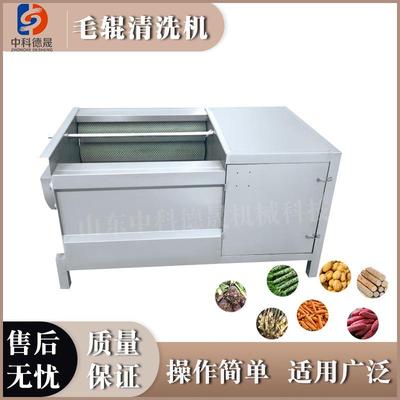 秦岭北麓不锈钢全自动毛辊清洗机猕猴桃奇异果清洗设备厂家供应
