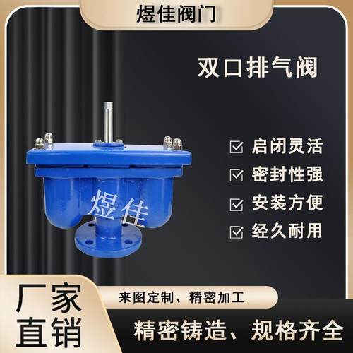 厂家供应QB2双口排气阀球墨铸铁法兰排气阀自动快速排气阀