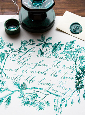 意大利Visconti/维斯康帝原装进口专用钢笔墨水60ml