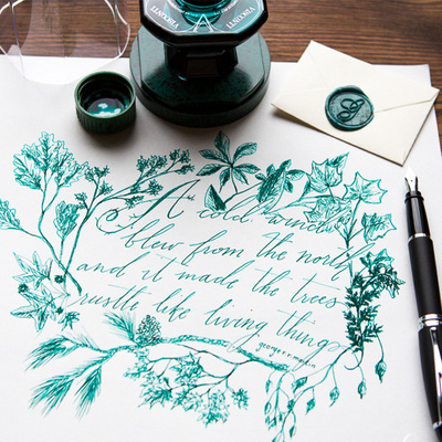 Visconti/维斯康帝原装专用墨水