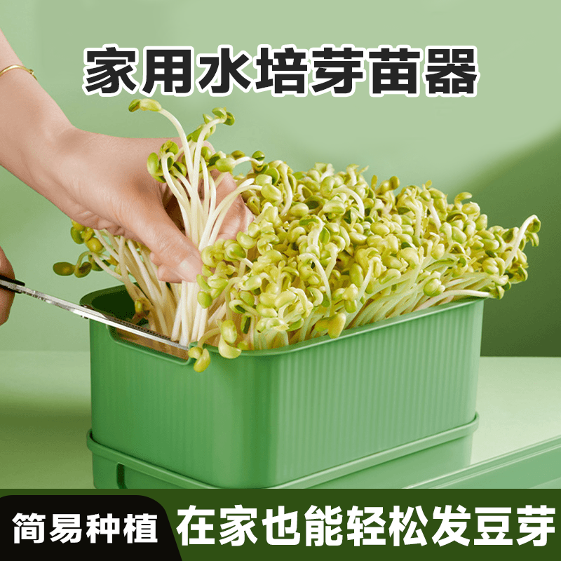 育苗盘种植发芽盆大容量家用豆芽其它园艺用品