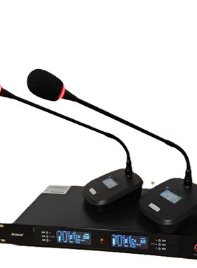 湖山  DS-HN880会议一拖二鹅颈无线话筒 台