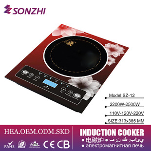 智能电磁炉家用中东Induction cooker东南亚出口电炉外贸110V