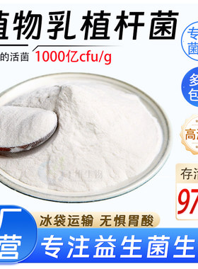 植物乳植杆菌1000亿冻干型益生菌粉高活性乳酸菌发酵食品厂家正品
