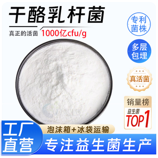 g食品级原料乳酸菌冻干粉益生菌粉厂家正品 1000亿cfu 干酪乳杆菌