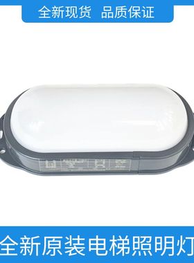 适用于通力电梯底坑 井道 轿顶 照明灯应急灯SALF-DZ8W/DZ12W原装