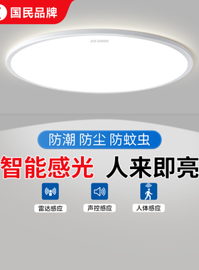 雷达人体感应灯人来即亮人走即灭夜间声控楼道楼梯入户门自动感应