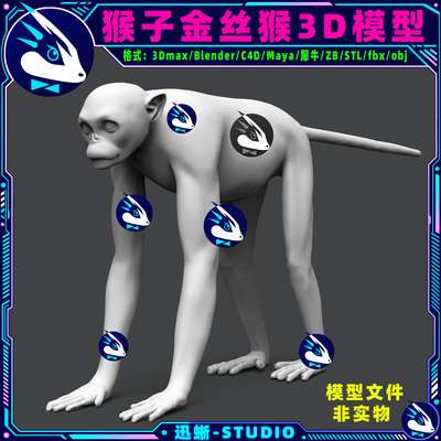 金丝猴猴子仰鼻猴3D模型素材文件