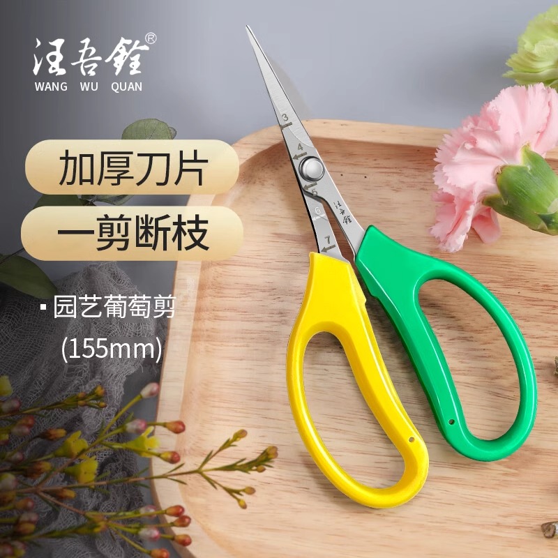 汪吾铨翘头摘果剪园艺花卉修枝剪