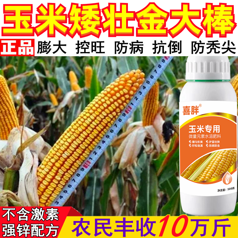 玉米金大棒农用营养液中量元素