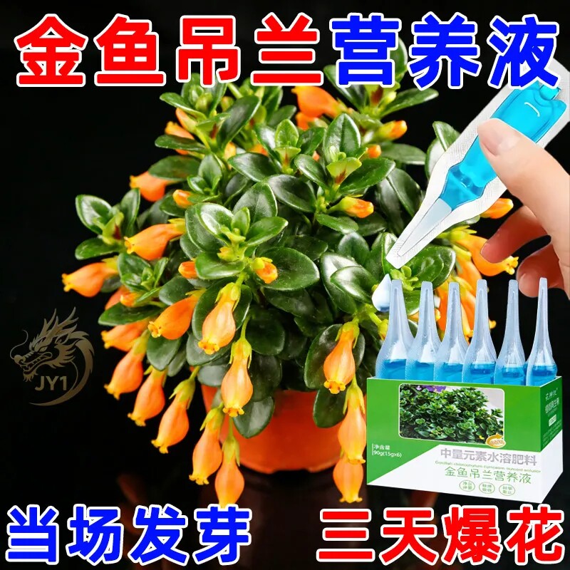 1.9元1盒】金鱼吊兰专用营养液促开花爆盆防黄叶掉花苞免稀释液体