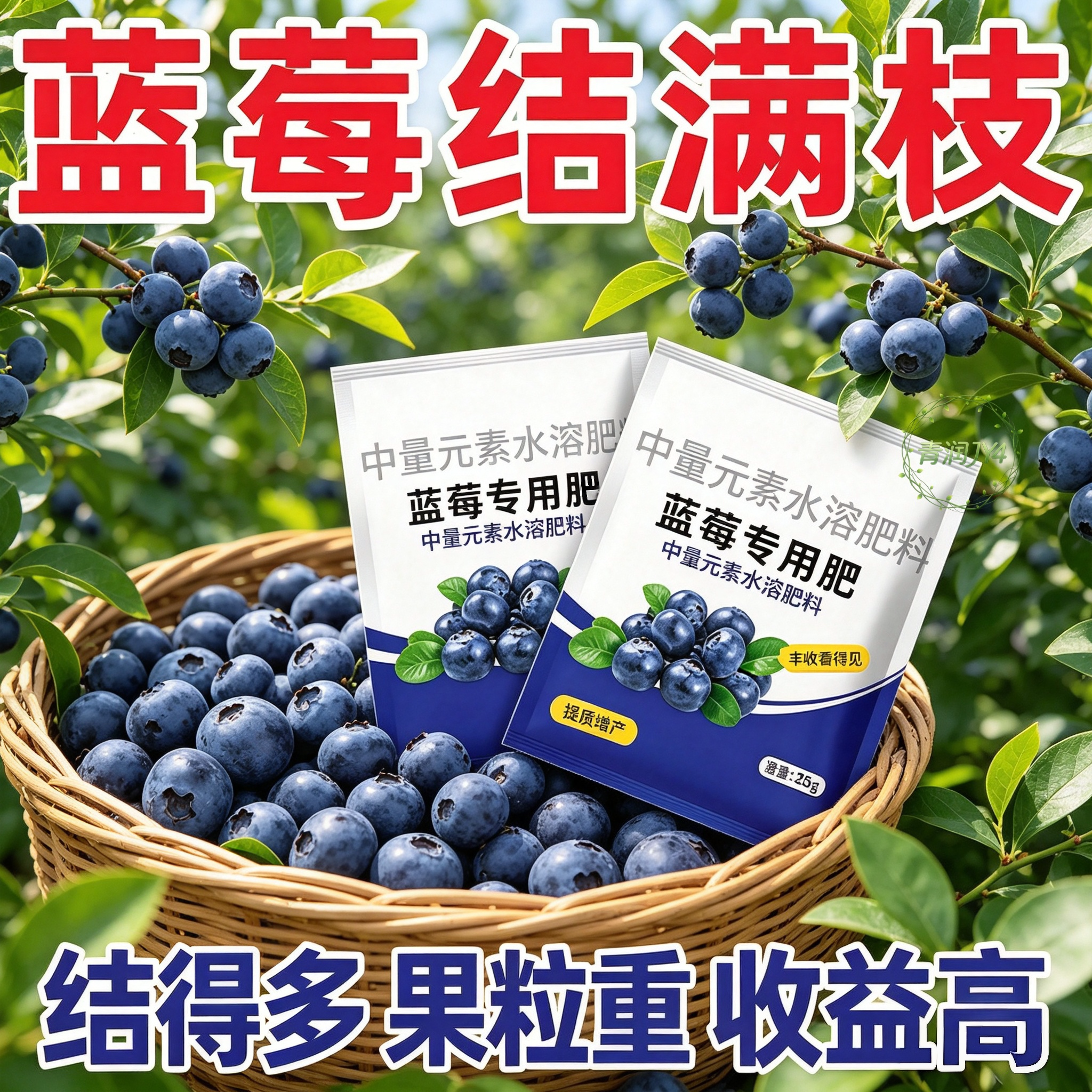 蓝莓专用酸性缓释复合肥