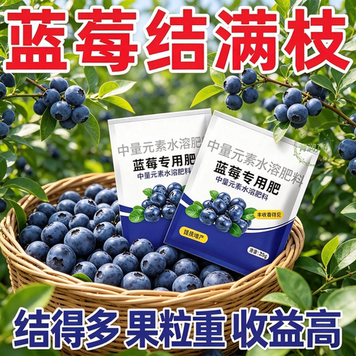 蓝莓专用酸性缓释复合肥