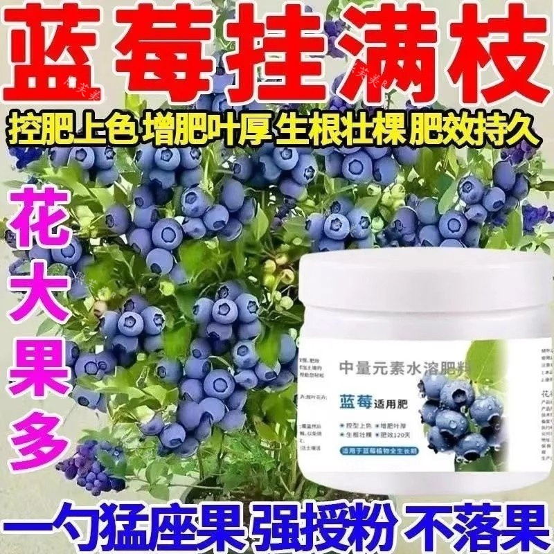 蓝莓专用肥缓释肥家用果树盆栽蔬果挂果增甜爆根水溶肥植物肥料
