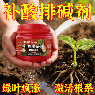 补酸排碱喜酸植物酸性酸碱改良剂调节土壤酸碱度花卉黄叶通用肥料