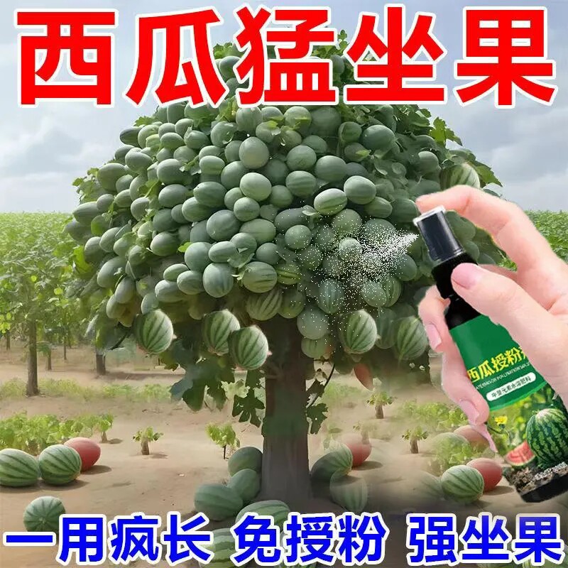 一喷满树爬】西瓜肥料授粉专用点花药免沾花授粉坐果防落果防畸