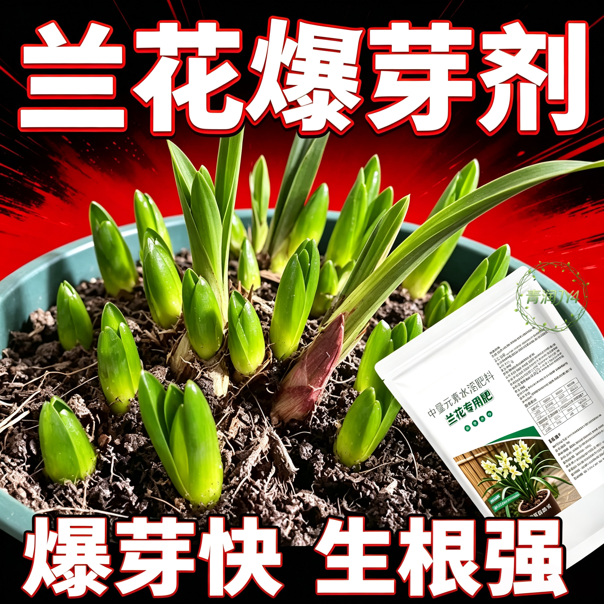 兰花专用专用肥家用盆栽肥料墨兰君子兰蝴蝶兰剑兰控释颗粒养花