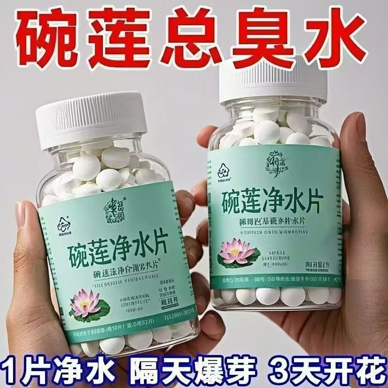 水培植物净水片净化水质除绿藻 防烂根促生长碗莲富贵竹绿萝专用