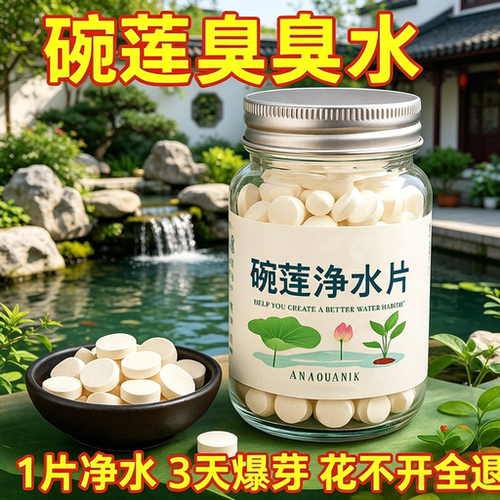 植物保鲜碗莲水培植物专用净水片保鲜剂富贵土壤渗透剂礼品套组