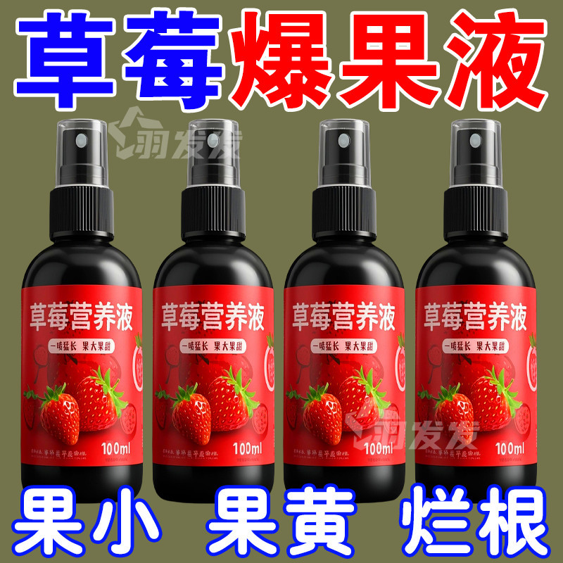 草莓专用营养液肥料免稀释家用盆栽有机肥料生长坐果期瓜果专用肥