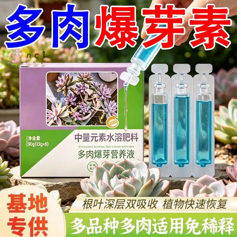 【猛蹿新芽】金钱树营养液催芽防黄叶液体肥强效免稀释专用肥