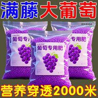 花神纪葡萄病菌清专用微生物菌剂葡萄果树专用叶面肥料