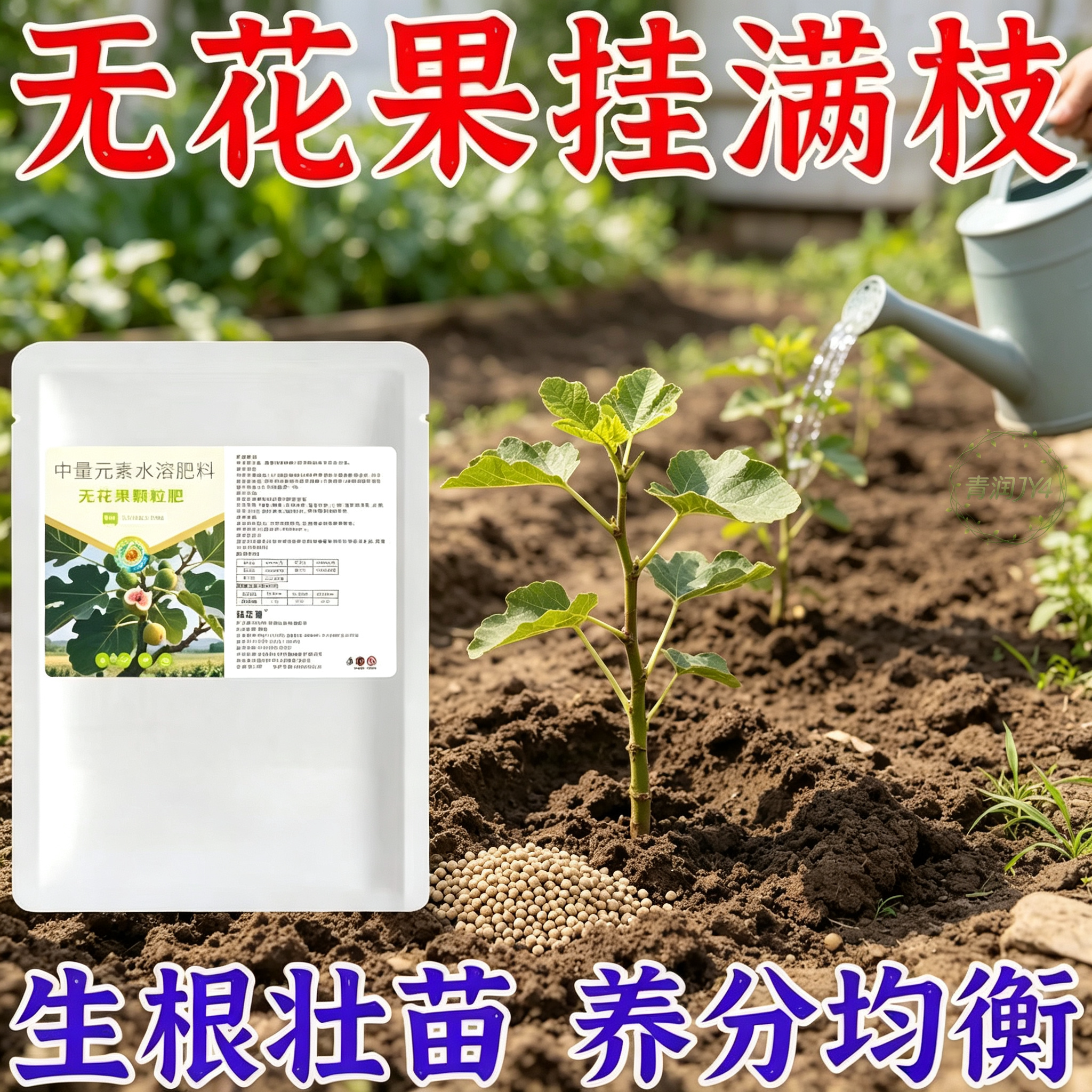 果满枝无花果增甜膨果花肥