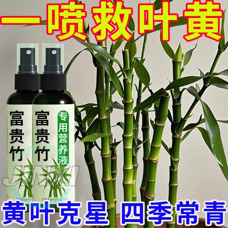 【一喷猛长】观音竹富贵竹营养液专用防黄叶烂根生根通用液体肥