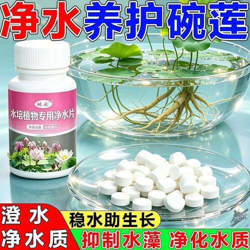 碗莲专用净水片睡莲肥料通用水溶水培种子发芽生根促开花礼品套组