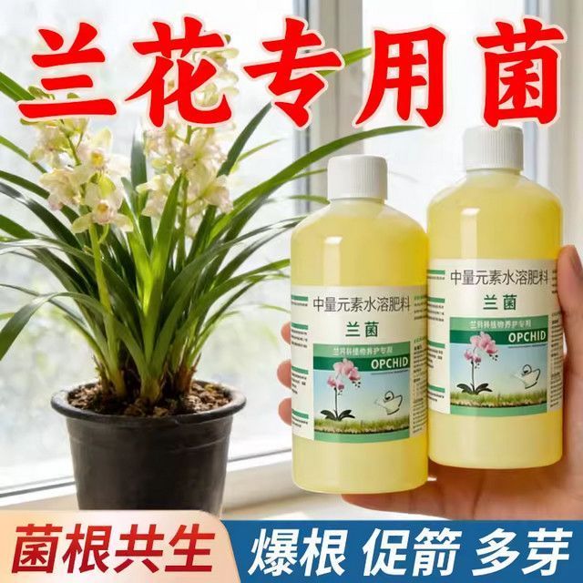 【兰科通用】兰花专用兰菌爆根催芽促苞催花防枯萎黄叶不开花叶肥