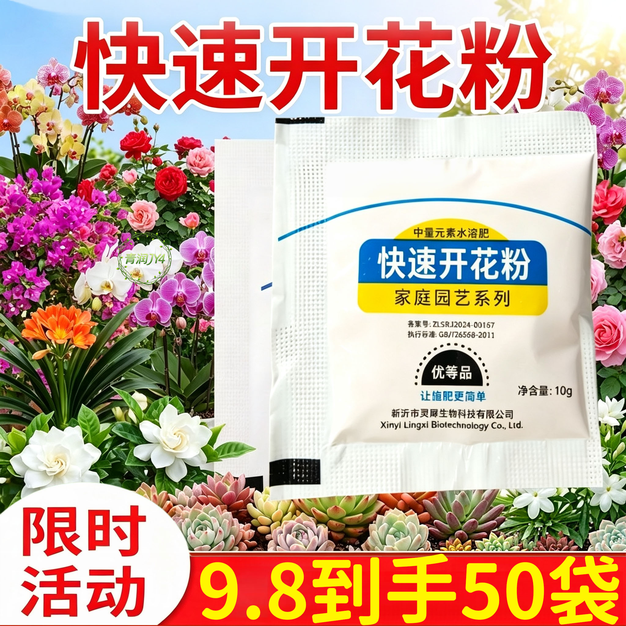 玫瑰月季花肥花芽分化花期长