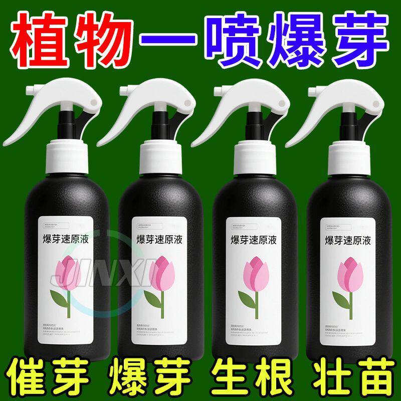 青丛园丁正品植物爆芽素原液强效促芽剂插花植物多肉绿植通用型