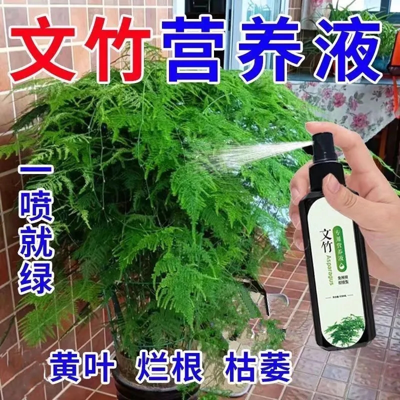 爆芽】文竹专用肥营养液治叶子发黄枯瘦浇花绿叶花元素园艺营养液