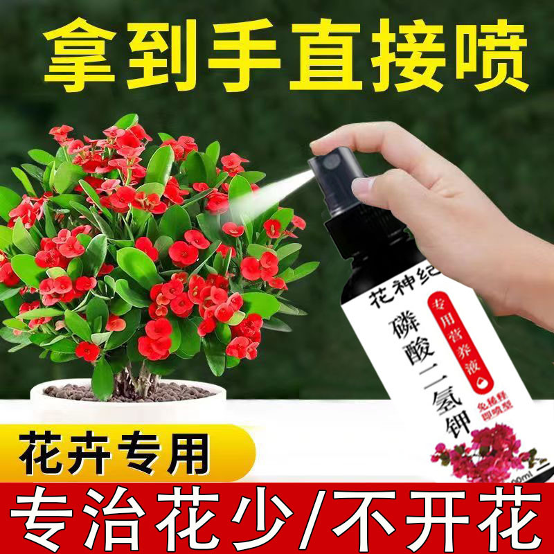 花神纪磷酸二氢钾免稀释直喷叶肥