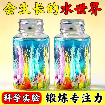 水中花园化学结晶实验套装