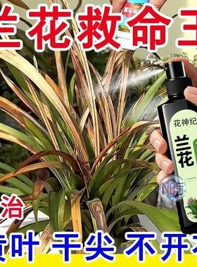 【出箭多】兰花营养液建兰出剑剂催花延花期治黄叶空根软腐叶面肥