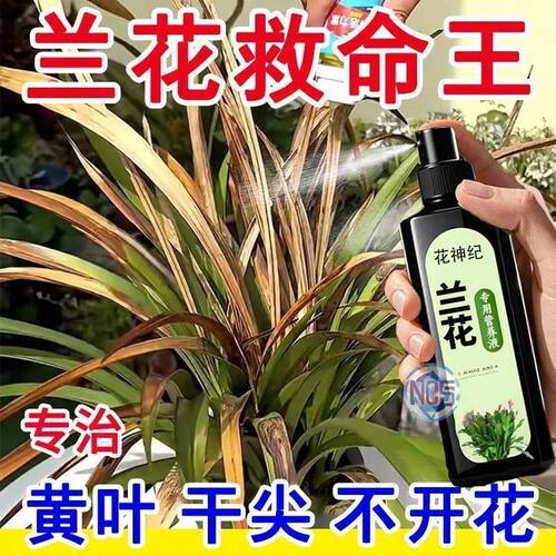 花神纪兰花营养液出箭花延花期