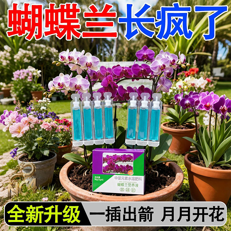 花神纪蝴蝶兰专用营养液促分芽